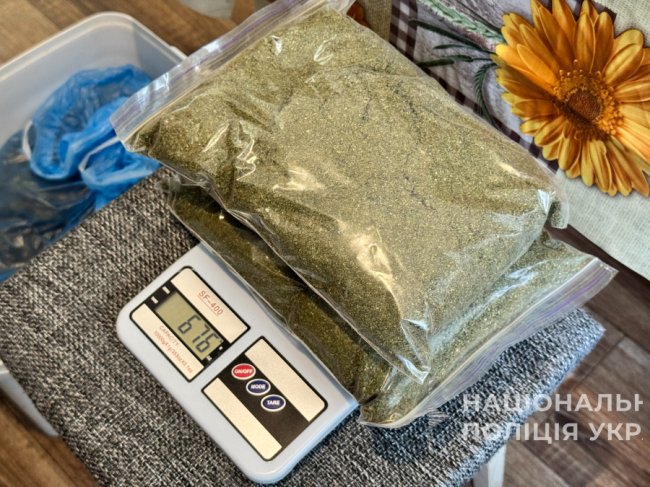 Заробляли мільйони: на Волині ліквідували злочинну схему з вирощування та збуту канабісу