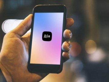 Українці зможуть розмитнити «євробляхи» через «Дію»