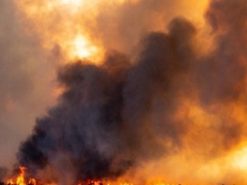 Аеродром добили, він повністю знищений,  – Поліщук про результат обстрілів 