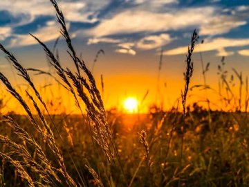 Погода у Луцьку та на Волині на завтра, 10 червня