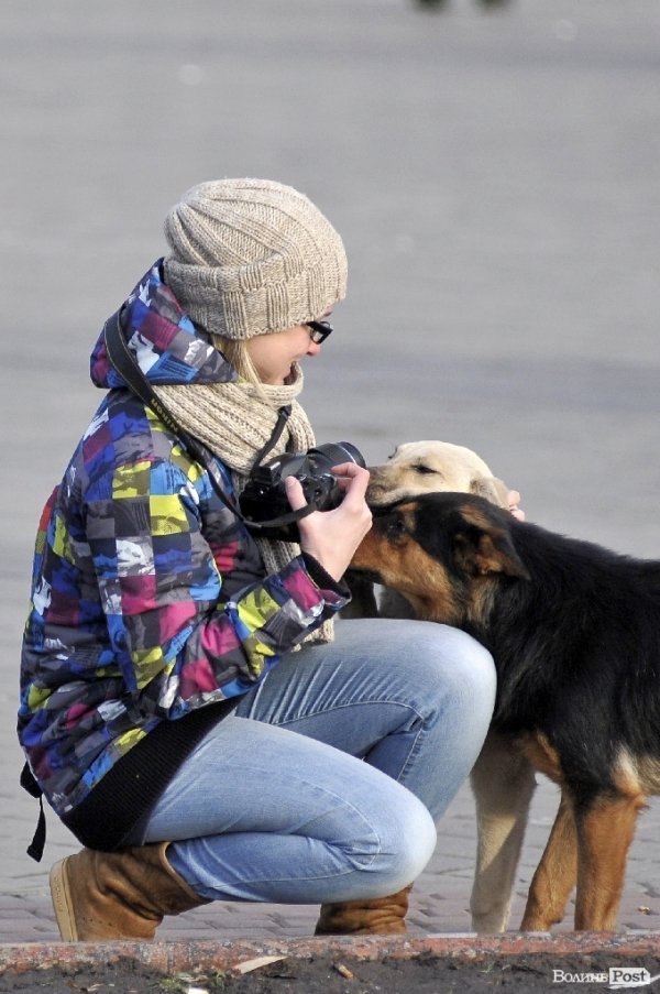 Любов на луцькому Євромайдані. ФОТО