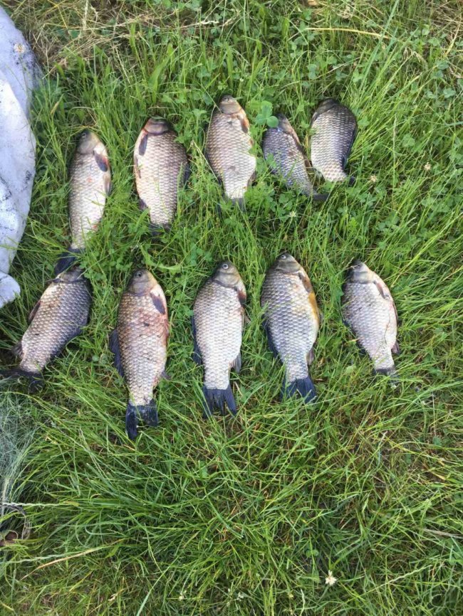 У Луцькому районі активісти разом з рибалками-любителями «здали» інспекторам браконьєра