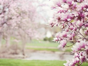 Україну накриє антициклон: якою буде погода 28 квітня