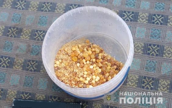 У будинку волинянина під час обшуку знайшли зброю та бурштин. ФОТО