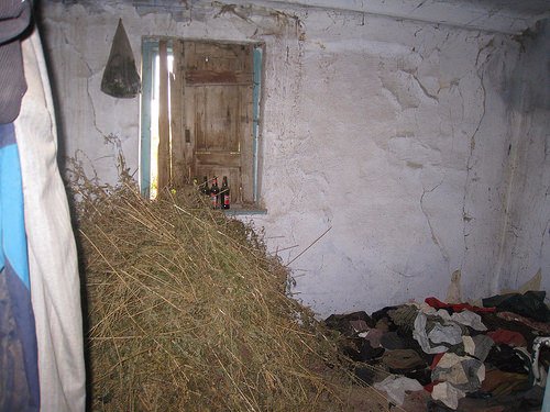 На Рівненщині  знайшли тіло чоловіка, яке їли гризуни