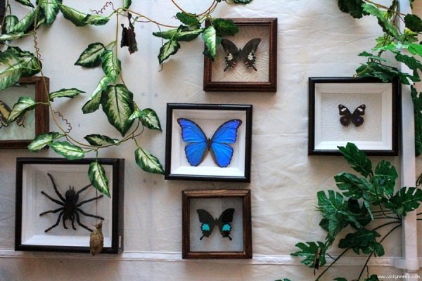 Лучанин каже, що його надурили в ЦУМі. ФОТО