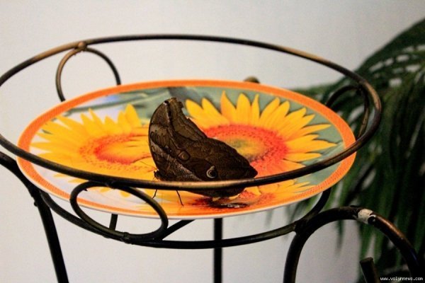 Лучанин каже, що його надурили в ЦУМі. ФОТО