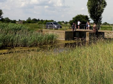 На Волині біля річки, де купаються люди, викинули величезну купу курячого посліду