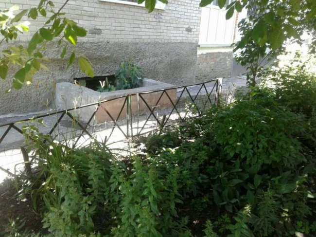 У Луцьку муніципали знесли «незаконні» паркани