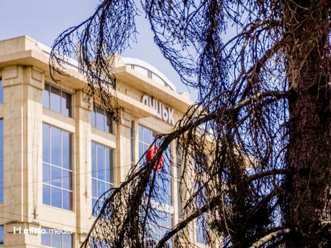 У Луцьку планують зрізати ялинки: у чому причина