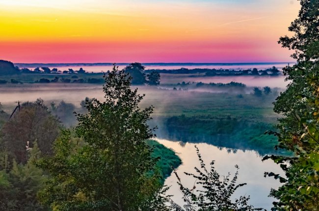 Дивовижні краєвиди волинського нацпарку на світанку. ФОТО