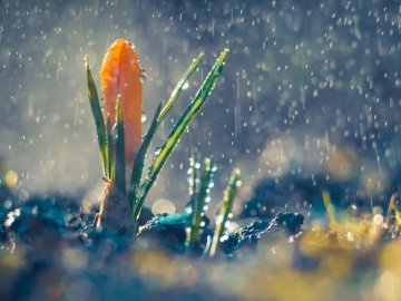 Погода у Луцьку на завтра, 9 квітня