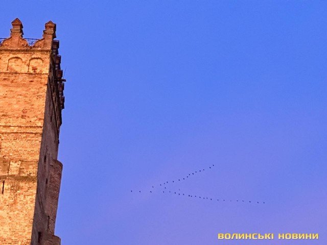 У Луцьку зустріли воїна, якого визволили з російського полону. ФОТО