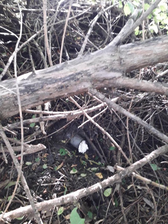 У Володимирі в річку скидають нечистоти. ФОТО