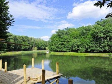 Воротнівський інцидент: розпочалася перевірка