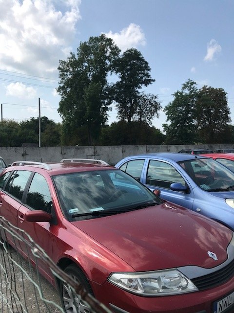 На Ягодині затримали «євробляхи» з підробленими документами. ФОТО