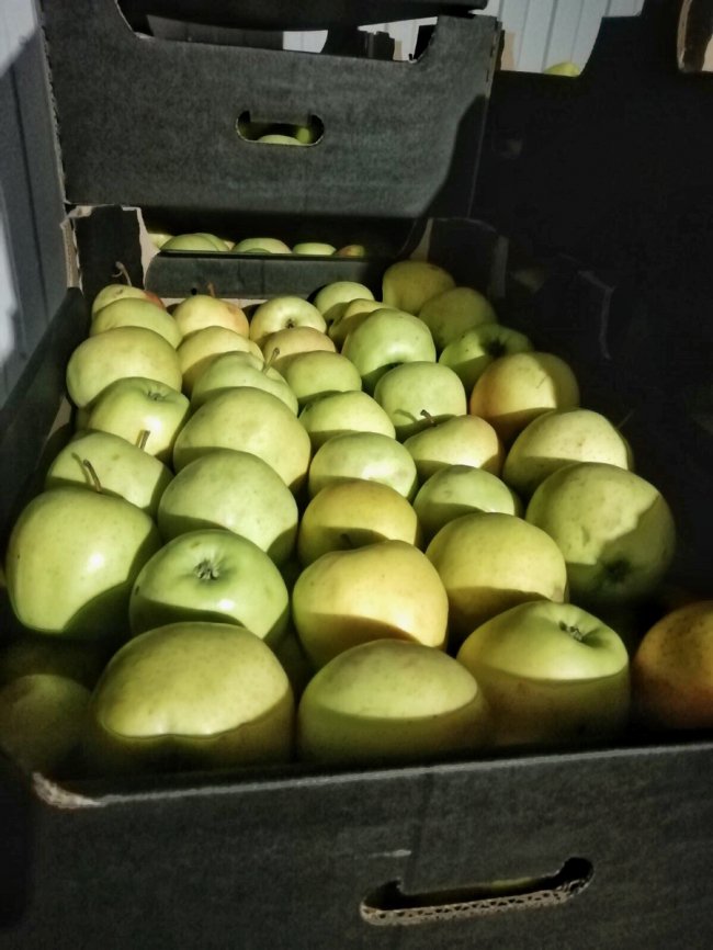 Овочевий кошик – просто до дверей: у Луцьку працює служба із корисною доставкою*