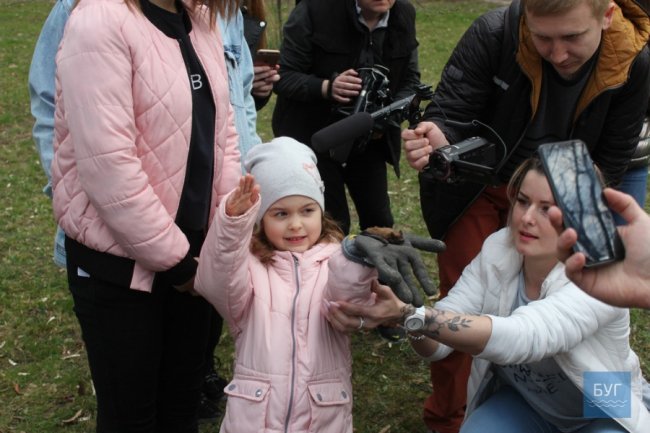 У Володимирі-Волинському випустили на волю 90 врятованих кажанів. ВІДЕО