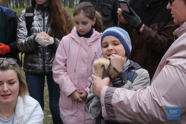 У Володимирі-Волинському випустили на волю 90 врятованих кажанів. ВІДЕО
