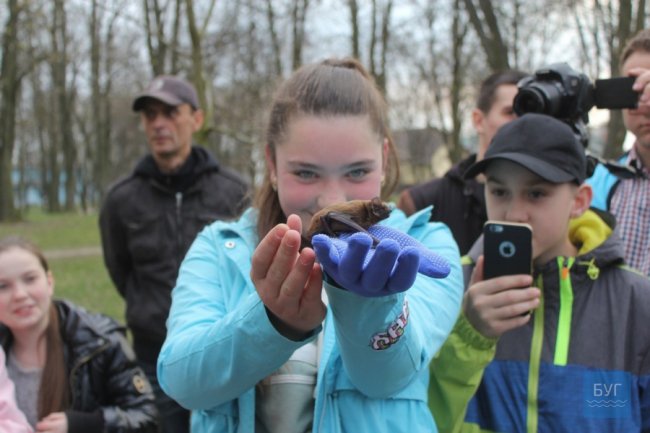 У Володимирі-Волинському випустили на волю 90 врятованих кажанів. ВІДЕО