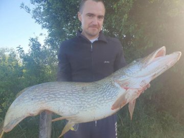 На Рівненщині спіймали гігантську щуку