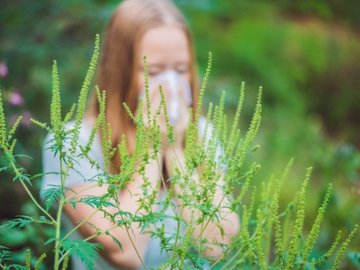 Як полегшити стан за алергії самостійно