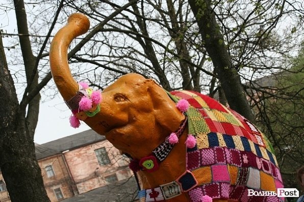 Луцького слоника одягли у в’язані клаптики