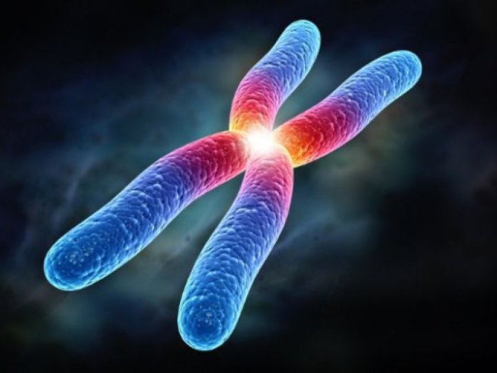 Хромосомний аналіз (каріотипування): коли призначають, що показує і як читати результати