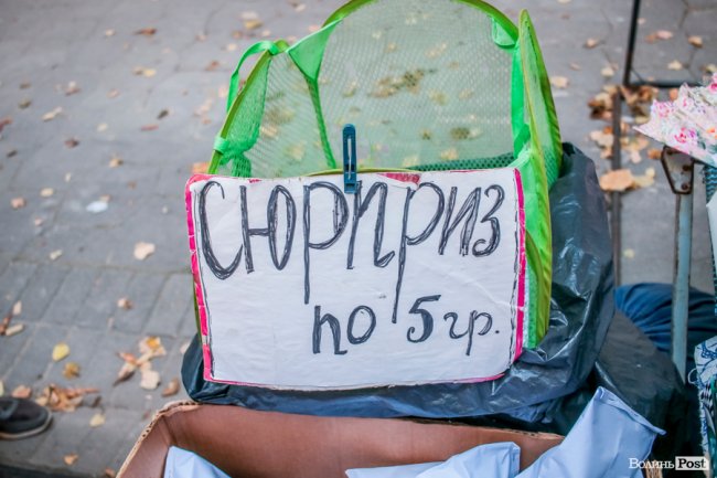 Народні розваги і море людей: в центрі Луцька «гуляє» етнофестиваль. ФОТО 