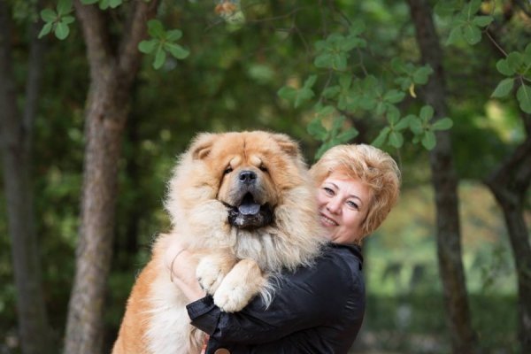 Перші фото «котячо-собачого» хіт-параду від Луцького зоопарку