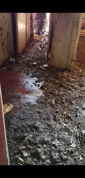 «Таргани завдовжки з палець», – лучанка про квартиру сусідів-нечупар. ФОТО