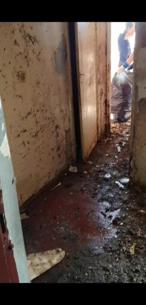 «Таргани завдовжки з палець», – лучанка про квартиру сусідів-нечупар. ФОТО