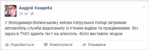 У Володимирі-Волинському поліція зловила п'яних комунальників. ФОТО