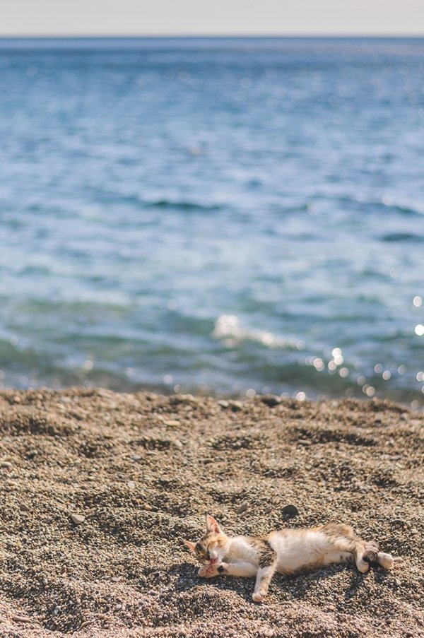 Фотовиставка Олександра Шишкіна