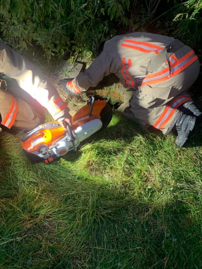 На Волині рятувальники дістали щеня з каналізаційної ями. ФОТО