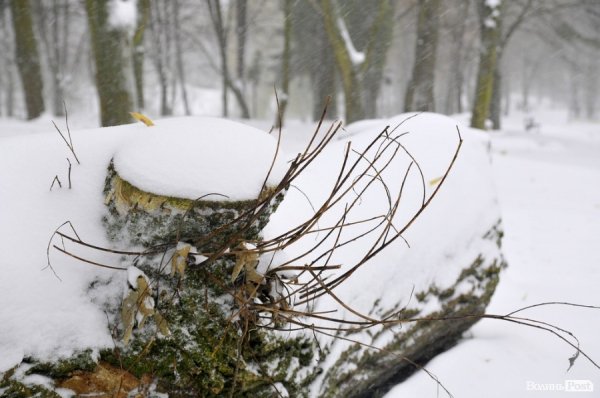 Фото снігу в Луцьку