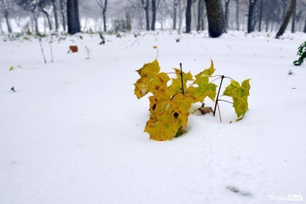 Фото снігу в Луцьку