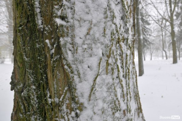 Фото снігу в Луцьку