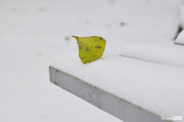 Фото снігу в Луцьку