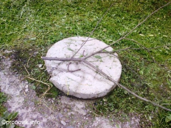 У Нововолинську створили «комунальний патруль» . ФОТО