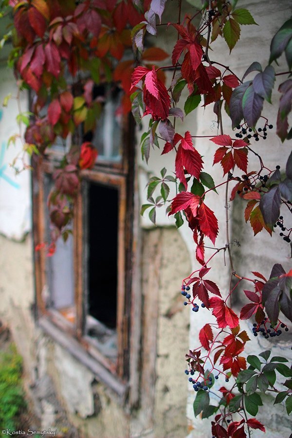 Фотовиставка Костянтина Семицького