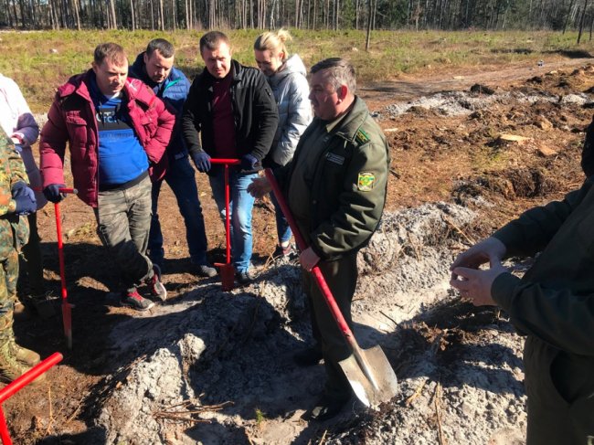 Користь для довкілля і «тімбілдингу»: фірма з Луцька у вихідний висадила гектар лісу. ФОТО