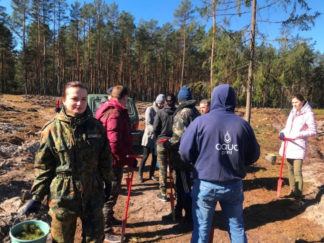 Користь для довкілля і «тімбілдингу»: фірма з Луцька у вихідний висадила гектар лісу. ФОТО