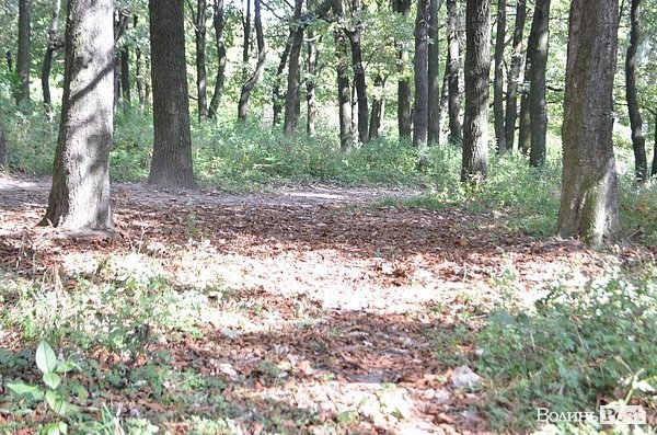 Луцький парк перетворився на смітник, бо нікому доглядати. ФОТО