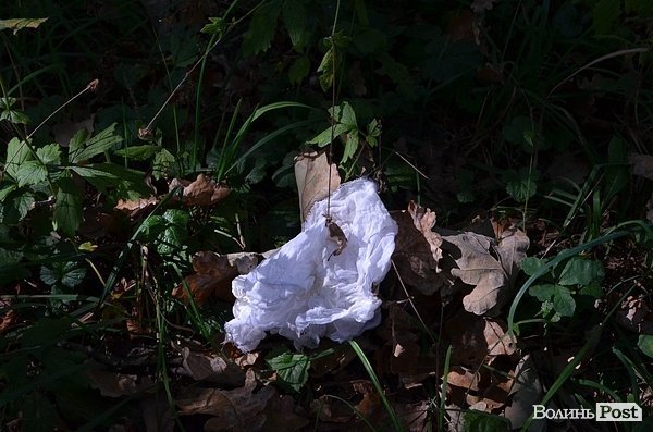Луцький парк перетворився на смітник, бо нікому доглядати. ФОТО