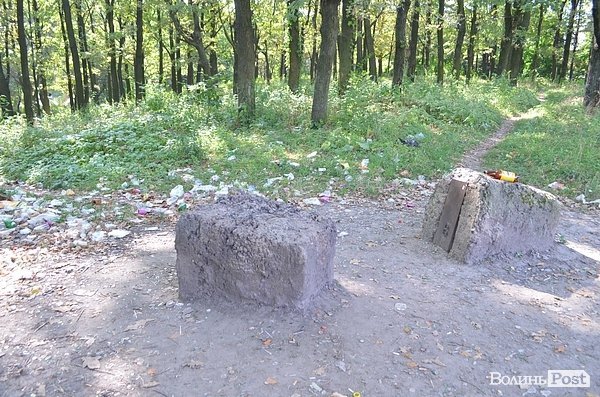 Луцький парк перетворився на смітник, бо нікому доглядати. ФОТО