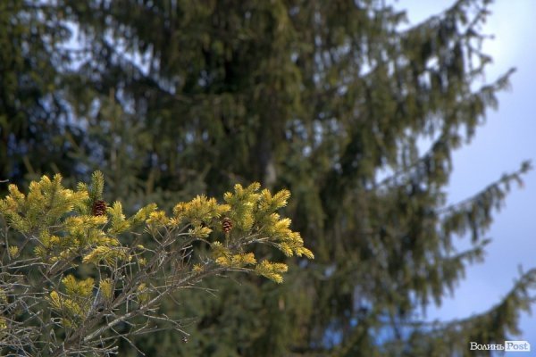 Весна у Луцьку. ФОТО