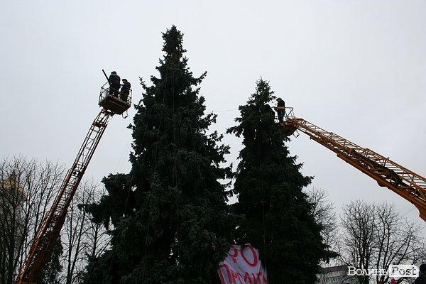 Головні ялинки Луцька почали прикрашати. ФОТО