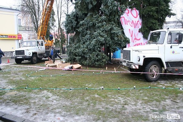 Головні ялинки Луцька почали прикрашати. ФОТО