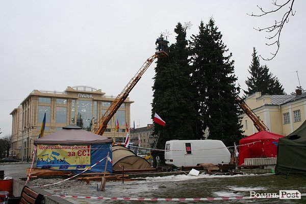 Головні ялинки Луцька почали прикрашати. ФОТО